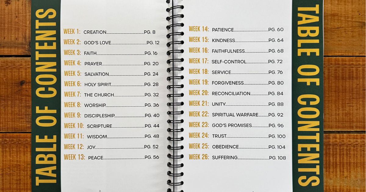 A Bible Reading Plan for Moms Who Genuinely Cannot Find the Time