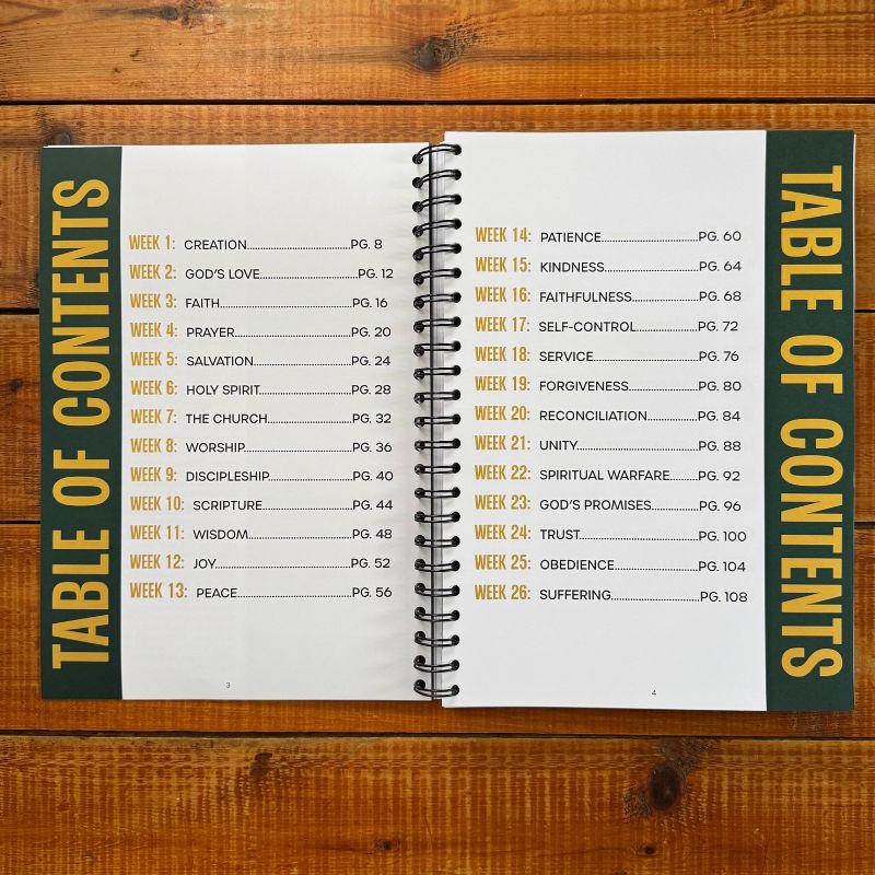 Bible study or devotional - weekly study page with reflection questions