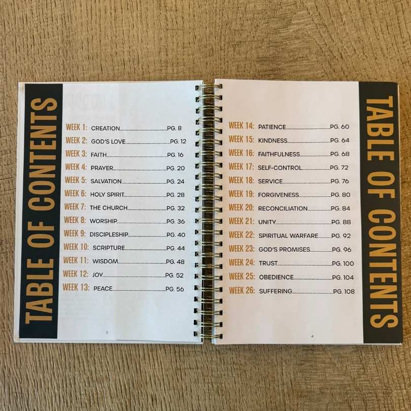 The Simple Bible Study table of contents showing 52 themed weeks like Creation, God's Love, and Faith, with no calendar dates